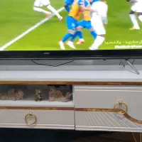 میز دوتومن وکپسول یک و۴۰۰ وپکنیک ۵۰۰