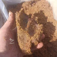 فروش انواع کشمش|خوردنی و آشامیدنی|تاکستان, |دیوار