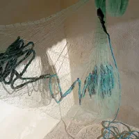 تور ماهیگیری