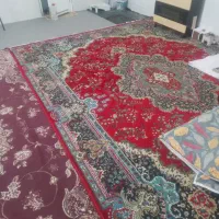 فرش اتاق کارگری|فرش|یزد, |دیوار