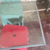 شیشه یخچال بستنی