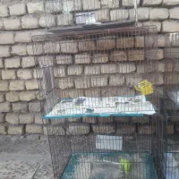 ۵ عدد قفس بزرگ همه باهم|لوازم جانبی حیوانات|اهواز, زرگان|دیوار