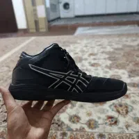 کفش والیبال|کیف، کفش، کمربند|کلاله, |دیوار