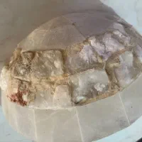 لوستر کلاسیک از سنگ مرمر|لوستر و چراغ آویز|قرچک, شهرک طلائیه|دیوار