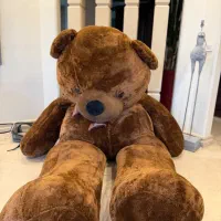 خرس بزرگ ۳ متری برند ترک در حد بسیار نو