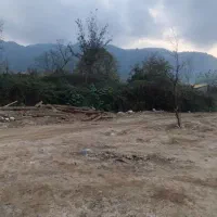 فروش زمین مسکونی|فروش زمین و ملک کلنگی|لاهیجان, لیالستان|دیوار