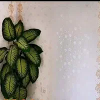 طرح کاغذدیواری، نانو،ضدآب.متری ۲۰ هزارتومان|خدمات پیشه و مهارت|اراک, |دیوار