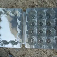 شانه تخم بلدرچین 12تایی|لوازم جانبی حیوانات|تنکابن, |دیوار