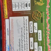 پراید مدل ۱۳۸۹|خودرو سواری و وانت|تهران, نازی‌آباد|دیوار