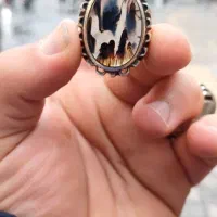شجر مصور قائنات