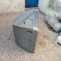 تلویزیون|تلویزیون و پروژکتور|بوشهر, |دیوار