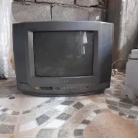 تلویزیون