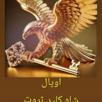 استخدام در هلدینگ بزرگ اوپال