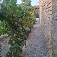 نیازمند هم خانه .|اجارهٔ خانه و ویلا|اصفهان, دانشگاه اصفهان|دیوار