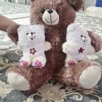 خرس کودک