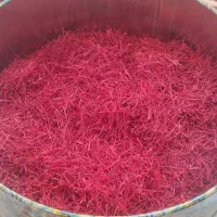 زعفران تازه