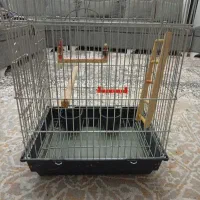 قفس پرنده