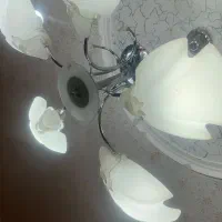 لوستر|لوستر و چراغ آویز|گلپایگان, |دیوار