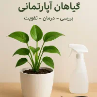 احیای تخصصی گیاهان آپارتمانی