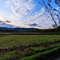 1000متر-زمین-مسکونی-مشاور-رضا-حسینی