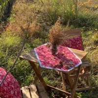 رومیزی/آشپزخانه/کافه/یلدا/چله|پرده، رانر، رومیزی|مشهد, آزادشهر|دیوار