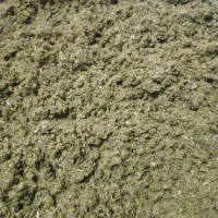 قورمه سبزی آماده ، بهداشتی