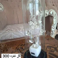 ظروف چینی|ظروف سرو و پذیرایی|اصفهان, شمس آباد|دیوار