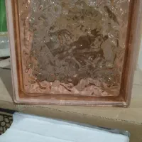 مدل چینی مدل ایرانی بلوک با نصب شاسی کشی شیشه|مصالح و تجهیزات ساختمان|تهران, خانیآباد|دیوار