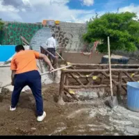 خدمات باغبانی