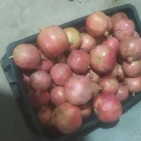 انار