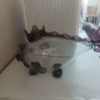 تنگ ماهی نوستالژی