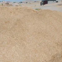 کاه زرد|خدمات باغبانی و درختکاری|دهگلان, |دیوار