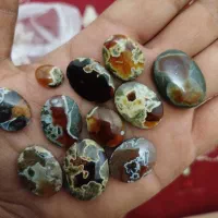 نگین شجر|کلکسیون اشیاء عتیقه|فسا, |دیوار