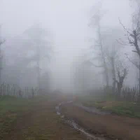 زمین مسکونی ۲۲۷ متری