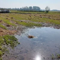 زمین کشاورزی به متراژ ۲۰۰۰ متر|فروش دفتر صنعتی، کشاورزی، تجاری|خمام, |دیوار