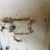 درب کت کبوتر