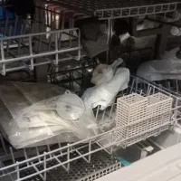 ماشین ظرفشویی ۶ نفره مجیک|ماشین ظرفشویی|مشهد, صیاد شیرازی|دیوار