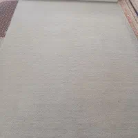 هشت متر موکت درحدنو