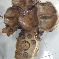 میز مزه چوبی|صنایع دستی و سایر لوازم تزئینی|همدان, |دیوار