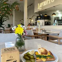 سرآشپز فرنگی و اشپز ایرانی کرج رزکان واریانشهر