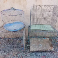 قفس پرنده جفت خون و تک خون