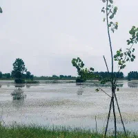 زمین-کناردریاچه-مصنوعی