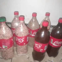 عدس،نخود،لوبیا،رب محلی