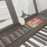 کیبورد Yamaha F51