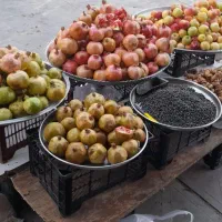 سلام یک جفت گوشواره گم شده