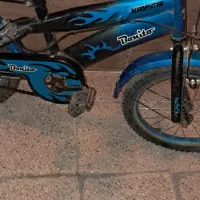 دوچرخه سالم با یک جفت کمکی