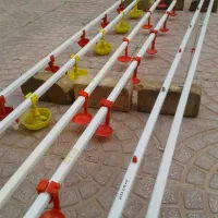 آبخوری نیپل و دانخوری سالم و تمیز