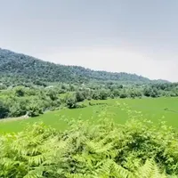 ۳هکتار زمین دردل جنگل معاوضه در تهران کرج اصفهان|فروش زمین و ملک کلنگی|رشت, لاکان|دیوار