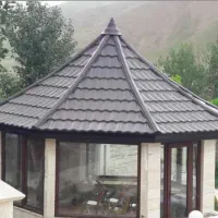 سقف چینی و طرحدار و سردری و سوله