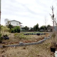 فروش زمین با ویو کوه و جنگل